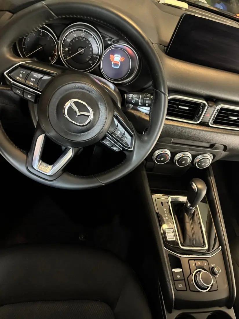 Cleaned steering wheel and gauge cluster